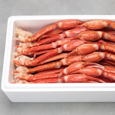 【年内配送可○】トゲズワイ足10～12肩前後(計2kg) A-38014