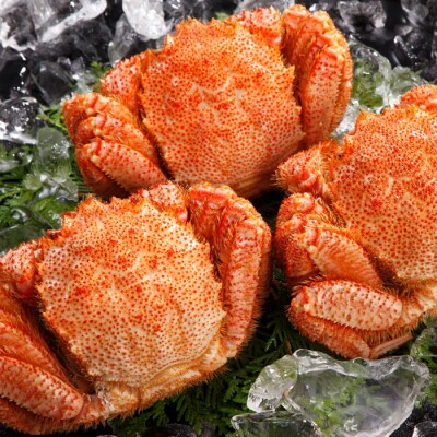 【年内配送可○】毛ガニ300～400g前後×3尾 計900g～1.2kg B-47003