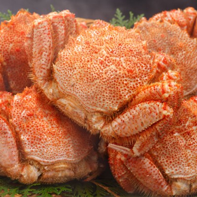 【年内配送可○】毛ガニ 6～8尾 計4kg E-47001