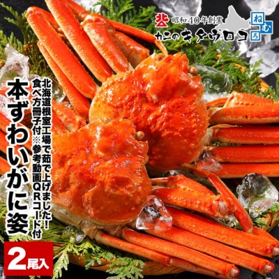 【年内配送可○】本ズワイガニ2尾(計1.4～1.6kg前後) B-25018