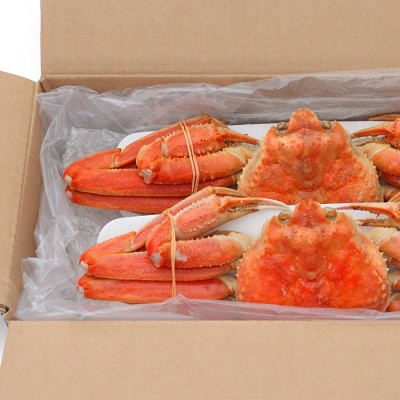 【年内配送可○】本ズワイガニ2尾(計1.4～1.6kg前後) B-25018