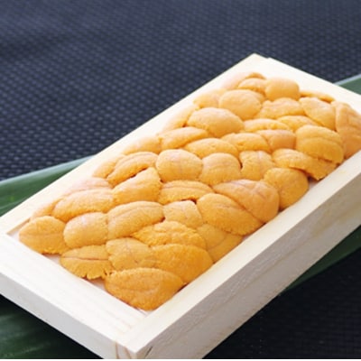 yNzzG]otEj100g×1 B-71025