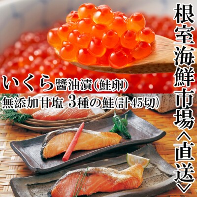 【年内配送可○】無添加天然甘塩鮭3種各15切、いくら(鮭卵)70g×1P B-11043