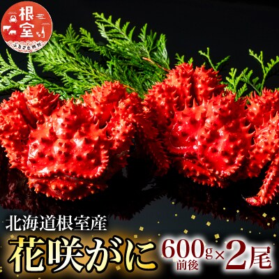 【年内配送可○】★花咲がに600g前後×2尾 B-20001