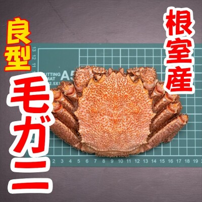 【年内配送可○】★茹で毛がに約450g×1尾 A-45005