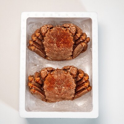 【年内配送可○】★茹で毛がに約450g×2尾 C-45007