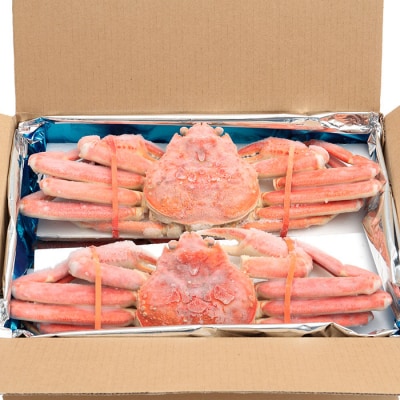【年内配送可○】本ずわいがに姿 4尾前後(計2kg) B-25019