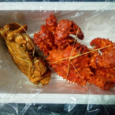 【年内配送可○】★花咲ガニとクリガニの食べ比べセット A-57054