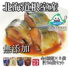 【年内配送可○】★さんま・いわし無添加煮付けセット A-09020