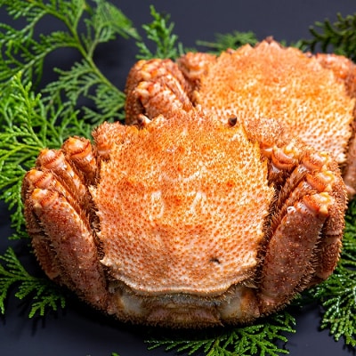 【年内配送可○】★茹で毛がに約450g×2尾 C-80001