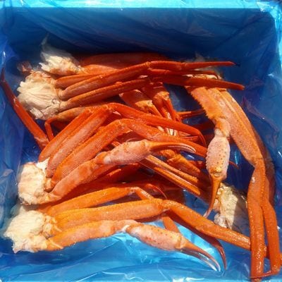 【年内配送可○】ベニズワイガニボイル肩足10～14肩(計2kg) C-57042