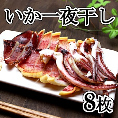 【年内配送可○】いか一夜干し8枚セット B-83002