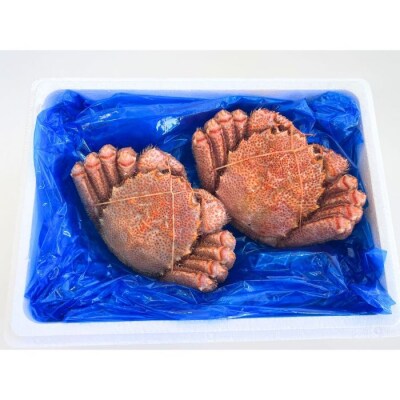 【年内配送可○】★浜ゆで毛ガニ450g前後×2尾 C-83001