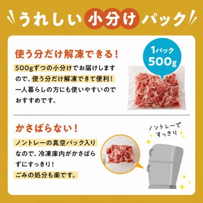 鹿児島県産豚切り落とし 2.5kg(南九州市)