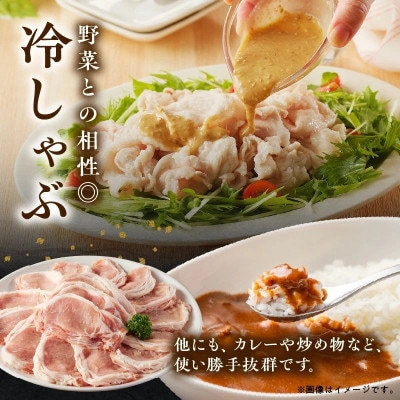 【2ヵ月毎定期便】鹿児島県産豚ローススライス(計2kg・500g×4P)(南九州市)全3回