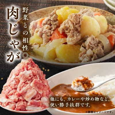 【2ヵ月毎定期便】鹿児島県産豚切り落とし(計4kg・500g×8P)(南九州市)全6回