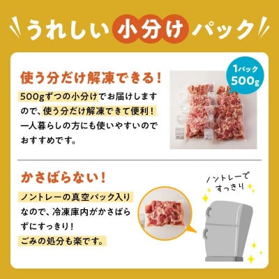 【2ヵ月毎定期便】鹿児島県産豚切り落とし(計4kg・500g×8P)(南九州市)全6回