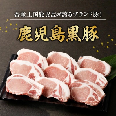 【のし付き・お中元】鹿児島黒豚ロースとんかつセット900g