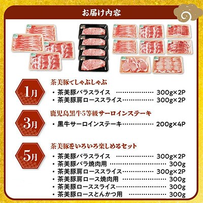 【発送月固定定期便】鹿児島黒牛・茶美豚食べ比べ定期便(南九州市)全6回