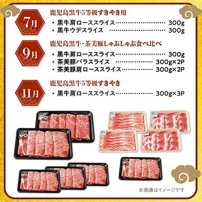 【発送月固定定期便】鹿児島黒牛・茶美豚食べ比べ定期便(南九州市)全6回