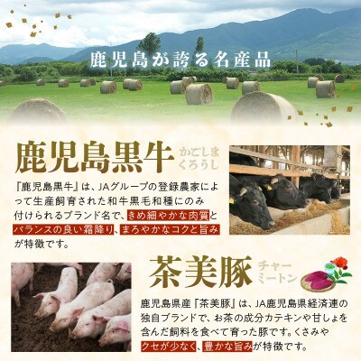 【発送月固定定期便】鹿児島黒牛・茶美豚食べ比べ定期便(南九州市)全3回