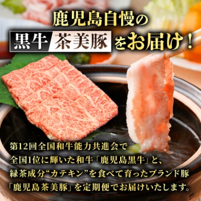 【発送月固定定期便】鹿児島黒牛・茶美豚食べ比べ定期便(南九州市)全3回
