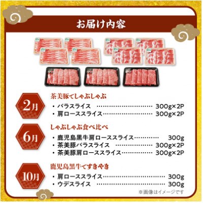 【発送月固定定期便】鹿児島黒牛・茶美豚食べ比べ定期便(南九州市)全3回