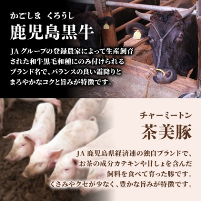 【発送月固定定期便】鹿児島黒牛・茶美豚食べ比べ定期便(南九州市)全3回