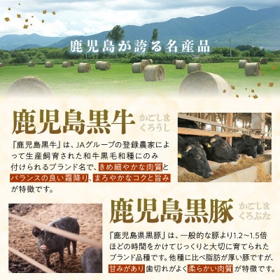 【発送月固定定期便】鹿児島黒牛・黒豚食べ比べ定期便(南九州市)全6回