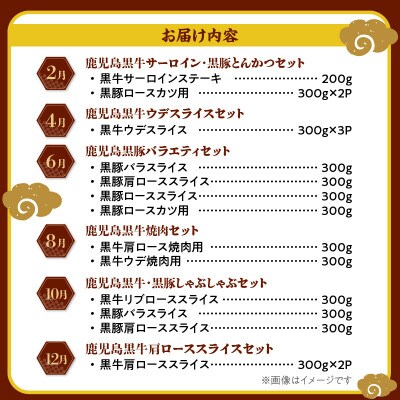【発送月固定定期便】鹿児島黒牛・黒豚食べ比べ定期便(南九州市)全6回