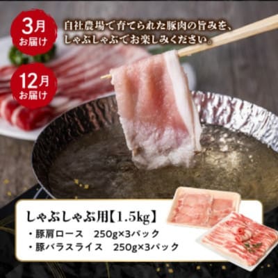 【発送月固定定期便】鹿児島県産 カミチク豚 定期便(南九州市)全4回