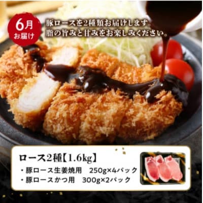 【発送月固定定期便】鹿児島県産 カミチク豚 定期便(南九州市)全4回