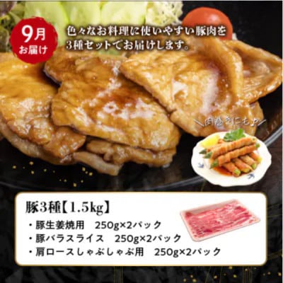 【発送月固定定期便】鹿児島県産 カミチク豚 定期便(南九州市)全4回