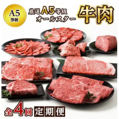 【発送月固定定期便】厳選A5等級オールスター牛肉定期便(南九州市)全4回