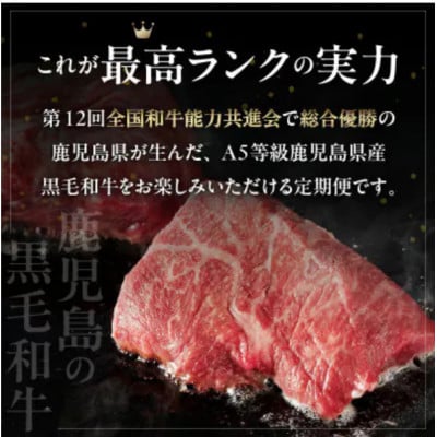 【発送月固定定期便】厳選A5等級オールスター牛肉定期便(南九州市)全4回