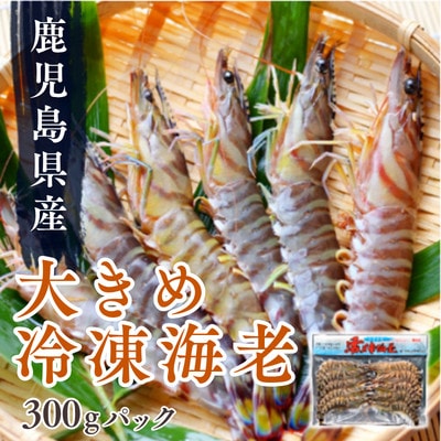 鹿児島県産大きめ冷凍車海老300g