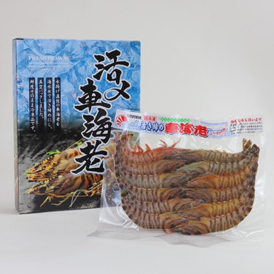 活き〆冷凍車海老300g(10尾～16尾)