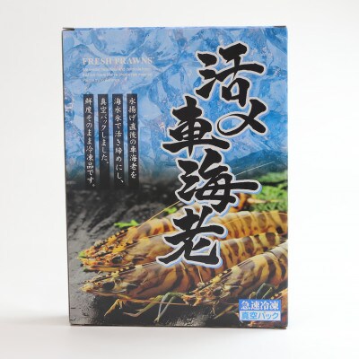 活き〆冷凍車海老300g(10尾～16尾)