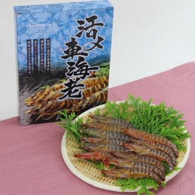 活き〆冷凍車海老300g(10尾～16尾)