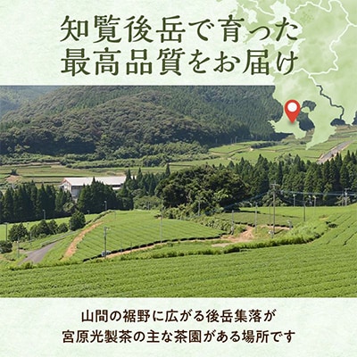 心潤す光印の霧若緑 90g×3