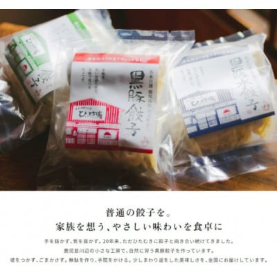 【発送月固定定期便】ひぃ坊家の餃子定期便　黒豚餃子詰め合わせ80個全3回