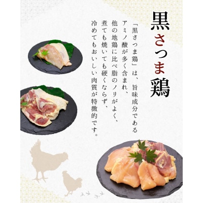 【のし付き・お中元】鹿児島ブランド地鶏!黒さつま鶏バラエティセット