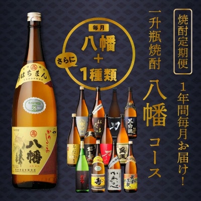 【発送月固定定期便】1年間毎月お届け!一升瓶 焼酎「八幡」コース全24本全12回