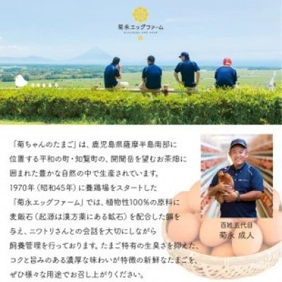 【発送月固定定期便】菊ちゃんのたまご(特級卵)(10・11・12月コース)全3回