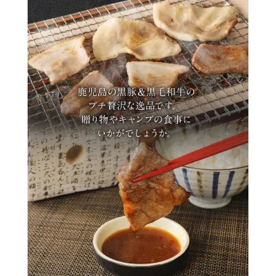 【毎月定期便】かごしま黒豚さつまと鹿児島県産黒毛和牛 計3.52kg(南九州市)全3回