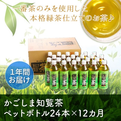 【毎月定期便】かごしま知覧茶ペットボトル定期便全12回