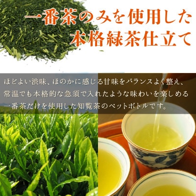 【毎月定期便】かごしま知覧茶ペットボトル定期便全12回
