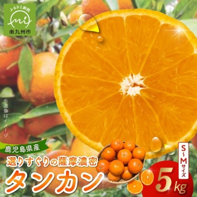 【2027年2月下旬頃より順次発送】選りすぐり薩摩濃密タンカン 5kg