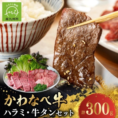 数量限定!かわなべ牛 ハラミ・牛タンセット