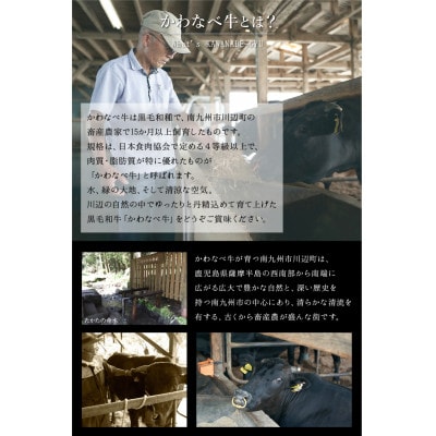数量限定!かわなべ牛 ハラミ・牛タンセット